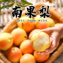 南國梨香飄千里 鞍山特產的新鮮饋贈