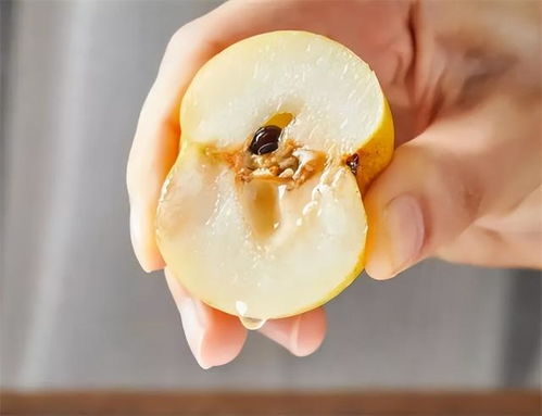 北國醉果，南國無覓處 品嘗后真的會醉嗎？