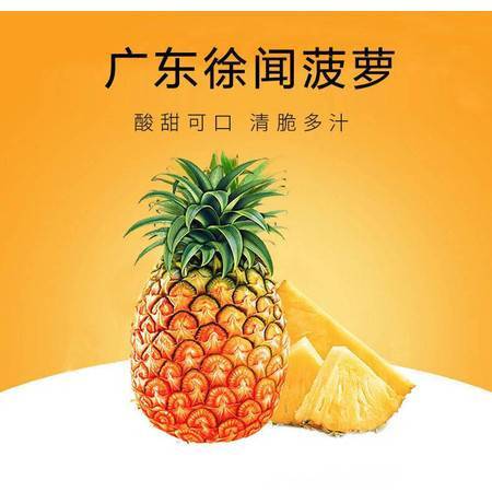 徐聞鳳梨 嶺南佳果，香甜禮贈——探秘廣東特產新鮮大菠蘿