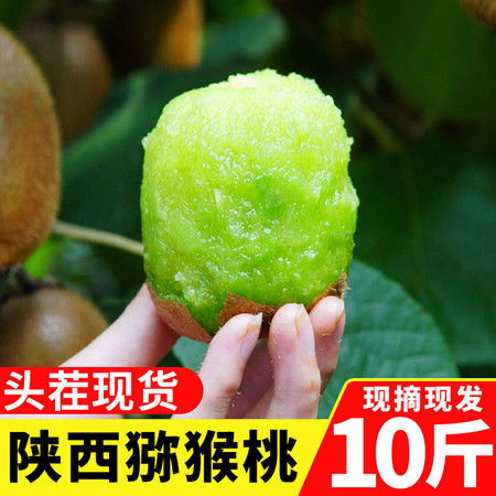 陜西綠心獼猴桃 鮮美維生素庫(kù)，5-10斤家庭裝果園直供